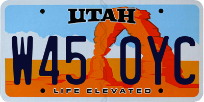 UT license plate W450YC