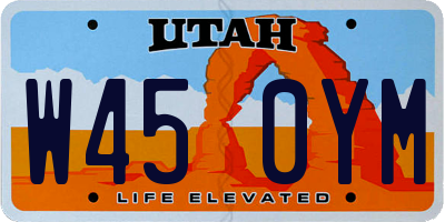 UT license plate W450YM