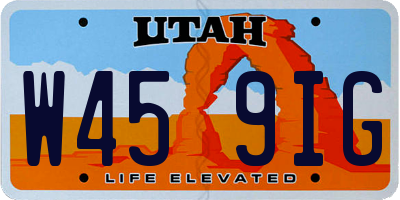 UT license plate W459IG