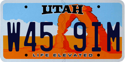 UT license plate W459IM