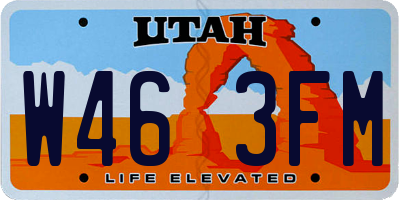 UT license plate W463FM