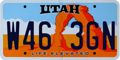 UT license plate W463GN