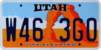 UT license plate W463GO