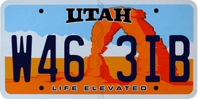 UT license plate W463IB