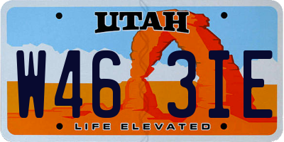 UT license plate W463IE