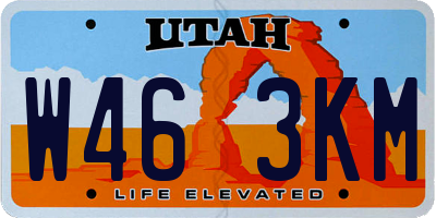 UT license plate W463KM
