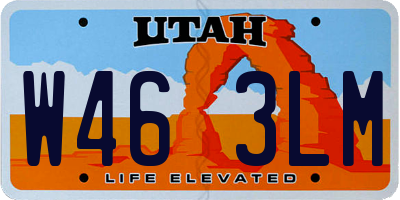 UT license plate W463LM