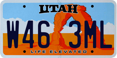 UT license plate W463ML