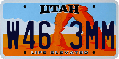 UT license plate W463MM