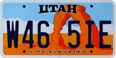 UT license plate W465IE