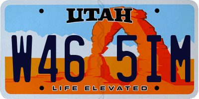 UT license plate W465IM