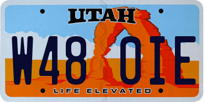 UT license plate W480IE