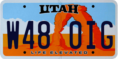 UT license plate W480IG