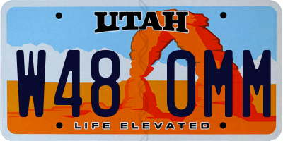 UT license plate W480MM
