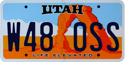 UT license plate W480SS