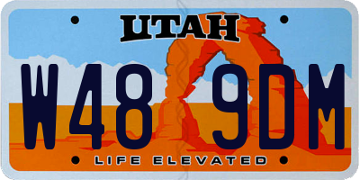 UT license plate W489DM