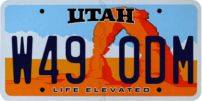 UT license plate W490DM