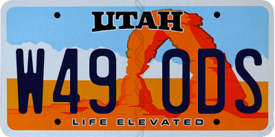 UT license plate W490DS