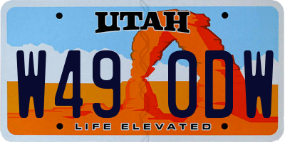 UT license plate W490DW