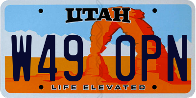 UT license plate W490PN