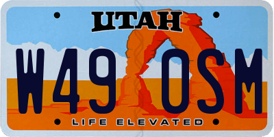 UT license plate W490SM