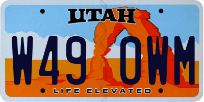 UT license plate W490WM