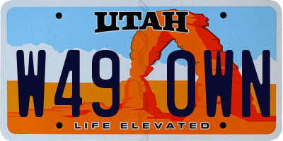 UT license plate W490WN