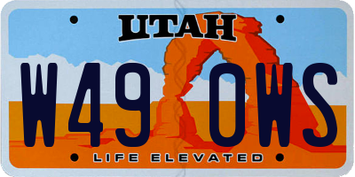 UT license plate W490WS