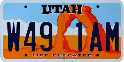 UT license plate W491AM