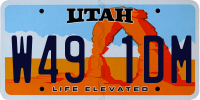 UT license plate W491DM