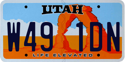 UT license plate W491DN