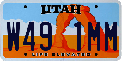 UT license plate W491MM