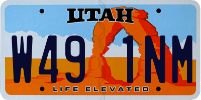 UT license plate W491NM