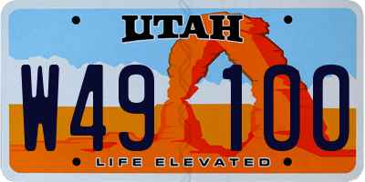UT license plate W491OO