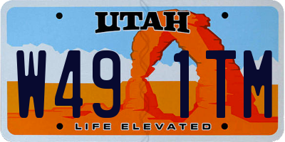 UT license plate W491TM