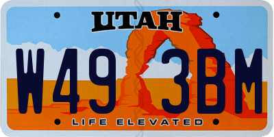 UT license plate W493BM