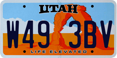 UT license plate W493BV