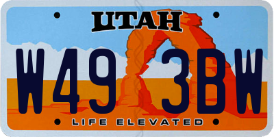 UT license plate W493BW
