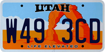 UT license plate W493CD