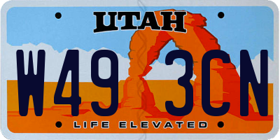 UT license plate W493CN