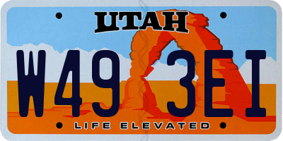 UT license plate W493EI