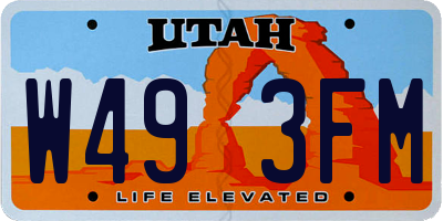 UT license plate W493FM