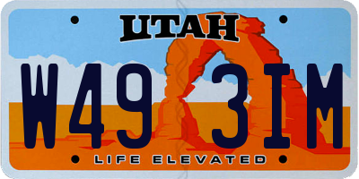 UT license plate W493IM