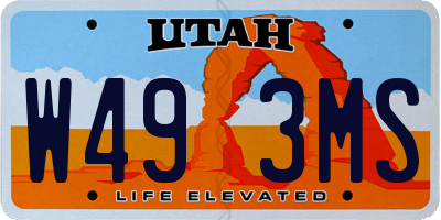 UT license plate W493MS