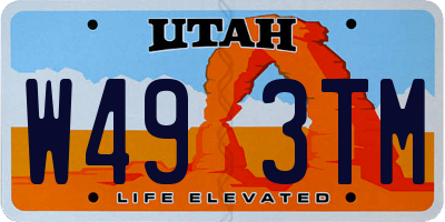 UT license plate W493TM