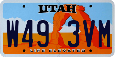 UT license plate W493VM