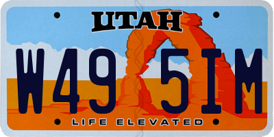 UT license plate W495IM