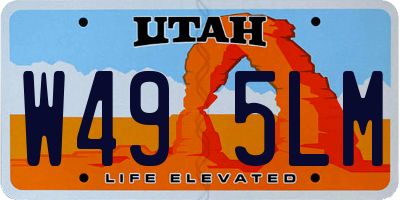 UT license plate W495LM