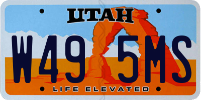 UT license plate W495MS