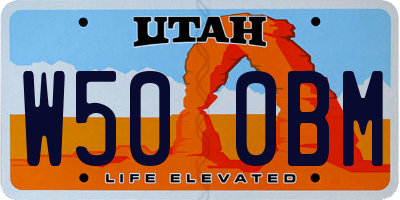 UT license plate W500BM